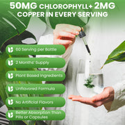 Chlorophyll Liquid Drops with Copper