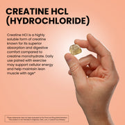 Creatine HCl Gummies